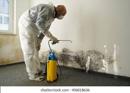 Professional Mold Removal & Remediation in Metzger, OR